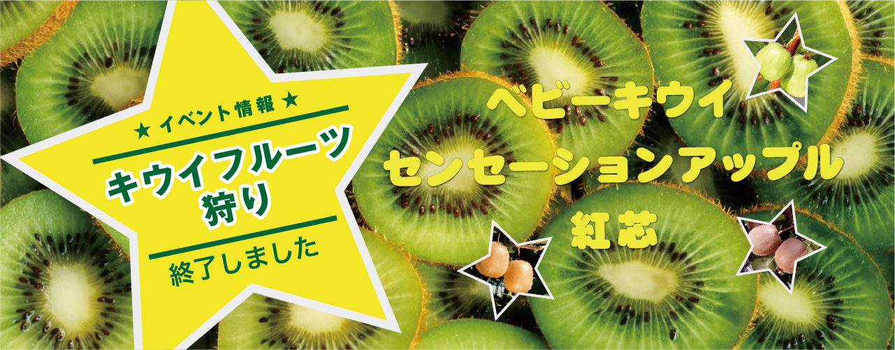 キウイフルーツ狩りは終了しました