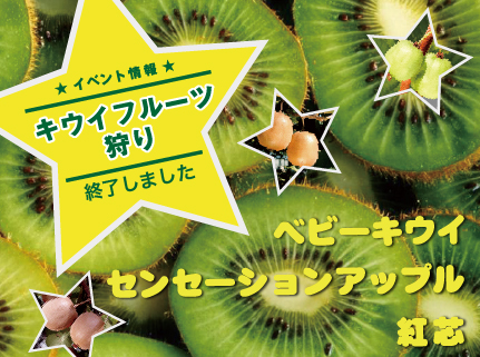 キウイフルーツ狩りは終了しました